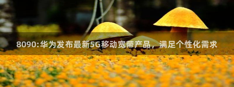 极悦娱乐注册服务条款：8090:华为发布最新5G移动宽带产品
