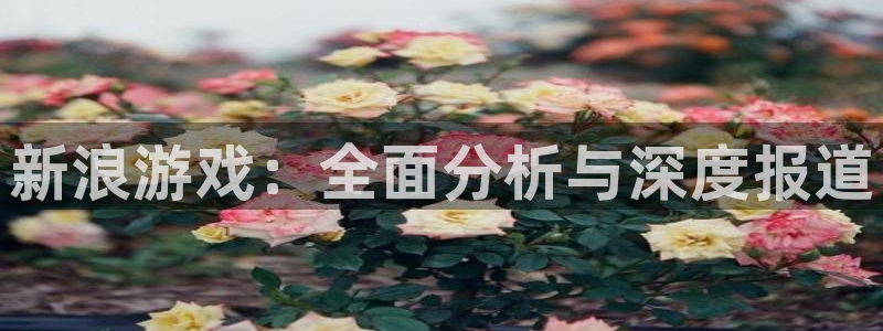极悦娱乐4招商：新浪游戏：全面分析与深度报道