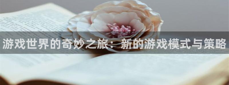 极悦娱乐注册地址：游戏世界的奇妙之旅：新的游戏模式与策略