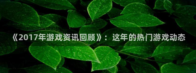 极悦娱乐app下载|下载地址：《2017年游戏资讯回顾》：这