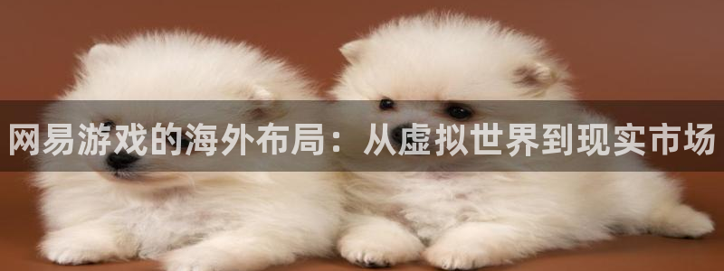 极悦娱乐4招商：网易游戏的海外布局：从虚拟世界到现实市场