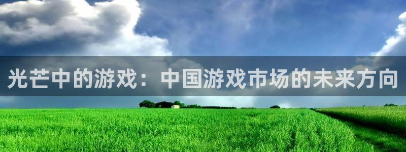 极悦娱乐平台官网入口：光芒中的游戏：中国游戏市场的未来方向