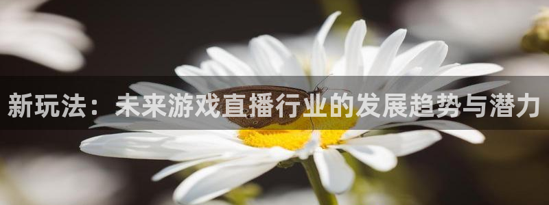极悦娱乐平台负责人：新玩法：未来游戏直播行业的发展趋势与潜力