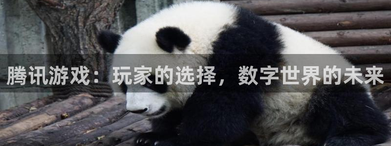 极悦娱乐官方平台：腾讯游戏：玩家的选择，数字世界的未来