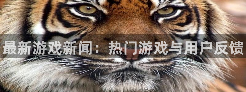 手机极悦娱乐下载安装：最新游戏新闻：热门游戏与用户反馈
