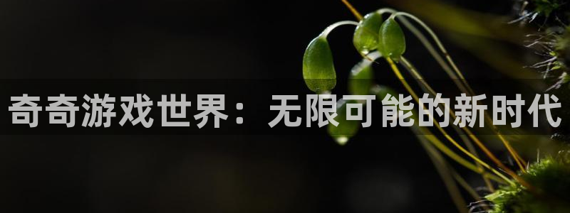 极悦娱乐手机网页版登录：奇奇游戏世界：无限可能的新时代