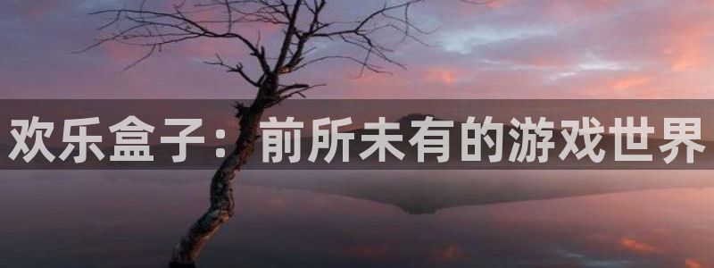 极悦娱乐登录：欢乐盒子：前所未有的游戏世界